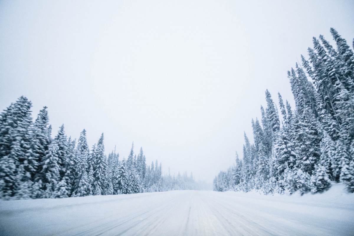 Photo credit : veronica-g unsplash
